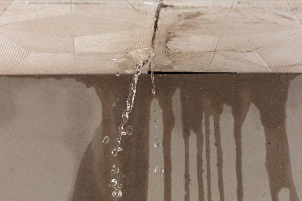 Professional Burst Pipe Cleanup technician working in Bean Station, TN